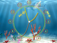 Aquarium Clock ScreenSaver screenshot